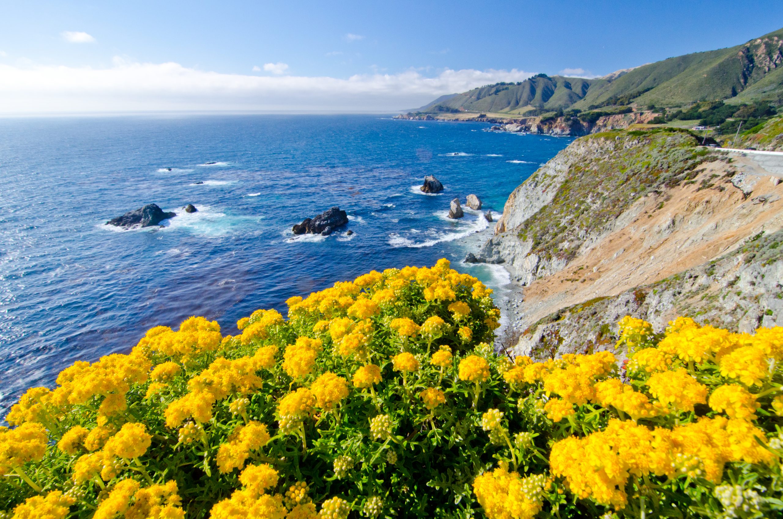 A,Beautiful,View,Of,The,California,Coastline,Along,State,Road