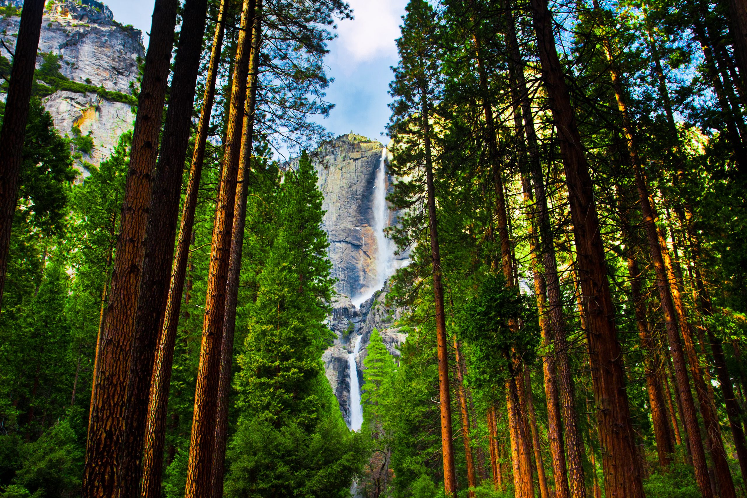 Yosemite,Waterfalls,Behind,Sequoias,In,Yosemite,National,Park,california