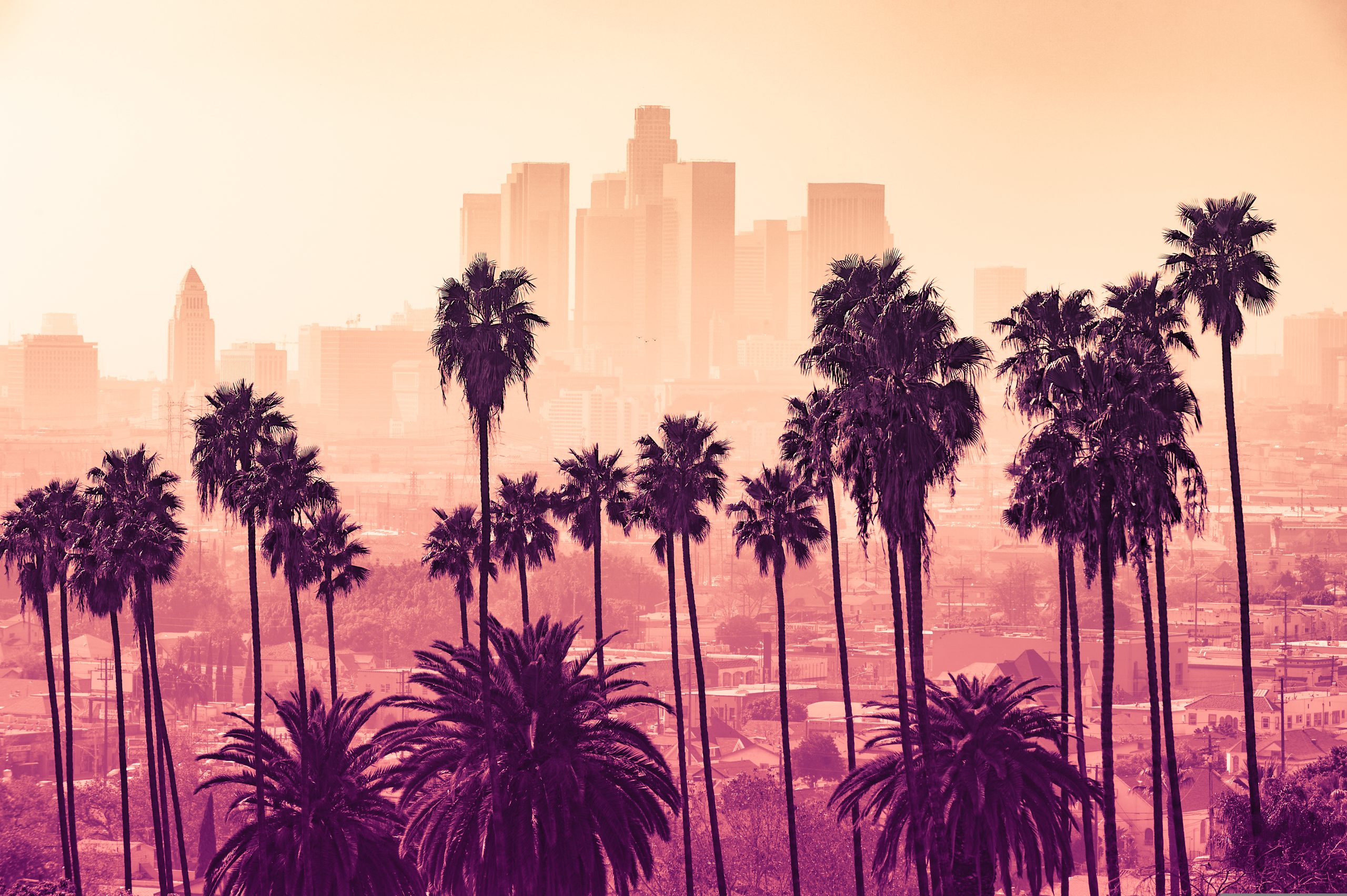 Los,Angeles,Skyline,With,Palm,Trees,In,The,Foreground
