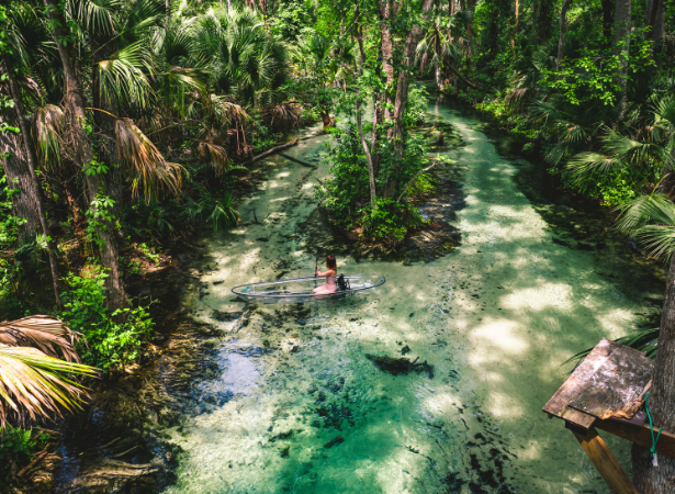 Visit Orlando Nature