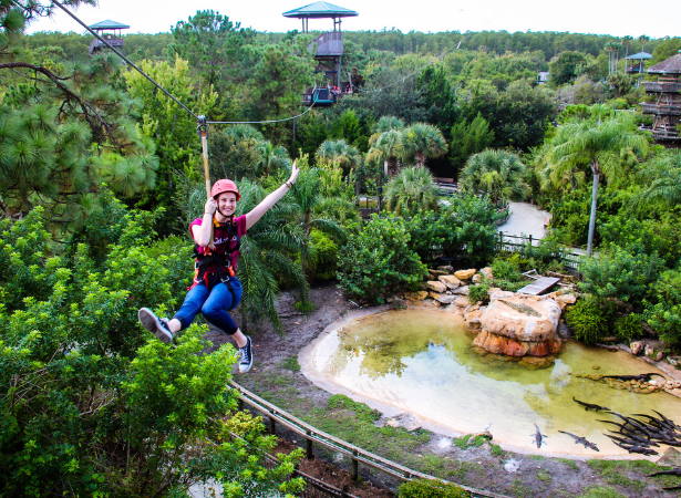 Visit Orlando zip vo