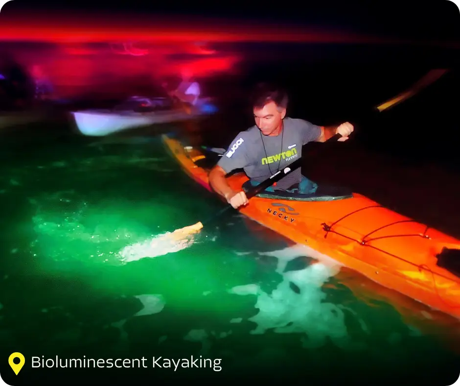 VF & SC Bioluminescent Kayaking