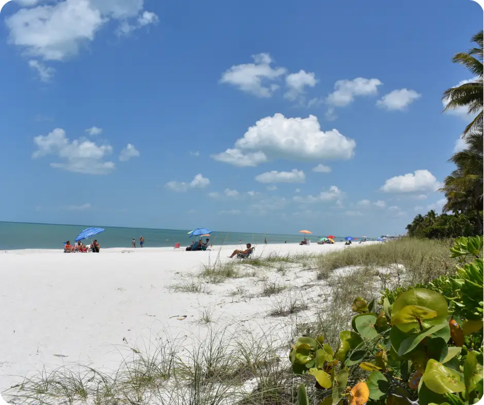 Naples Naples Beach