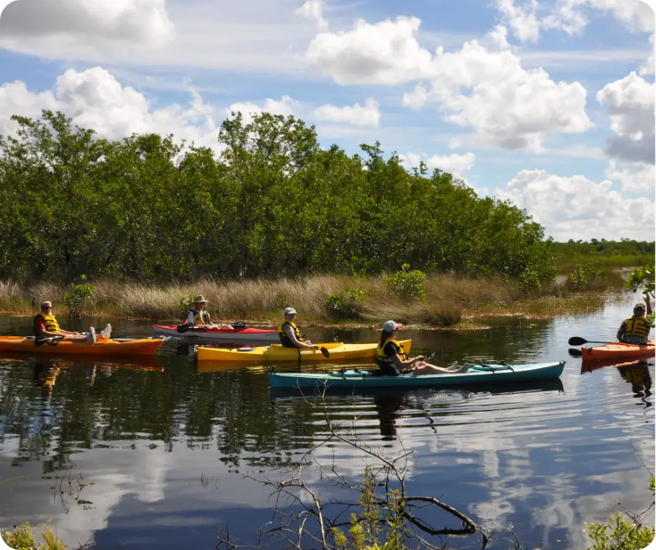 Naples Paddling in the Ten Thousand Islands National Wildlife Refuge