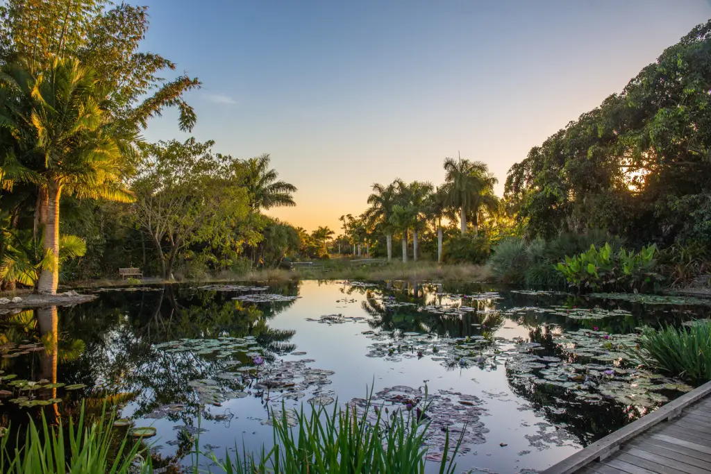 Naples Water Garden at Naples Botanical Garden 2