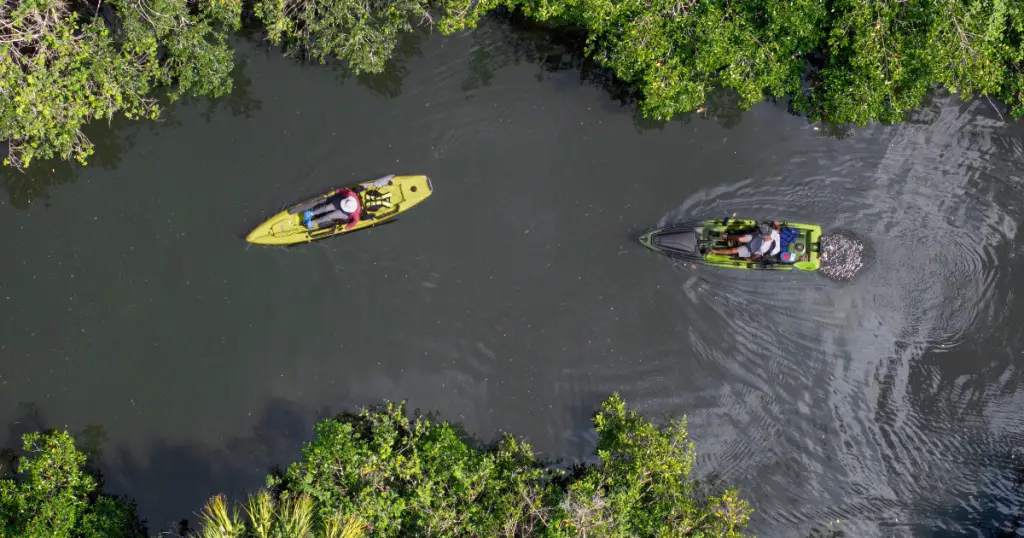 nature and wildlife fort myers