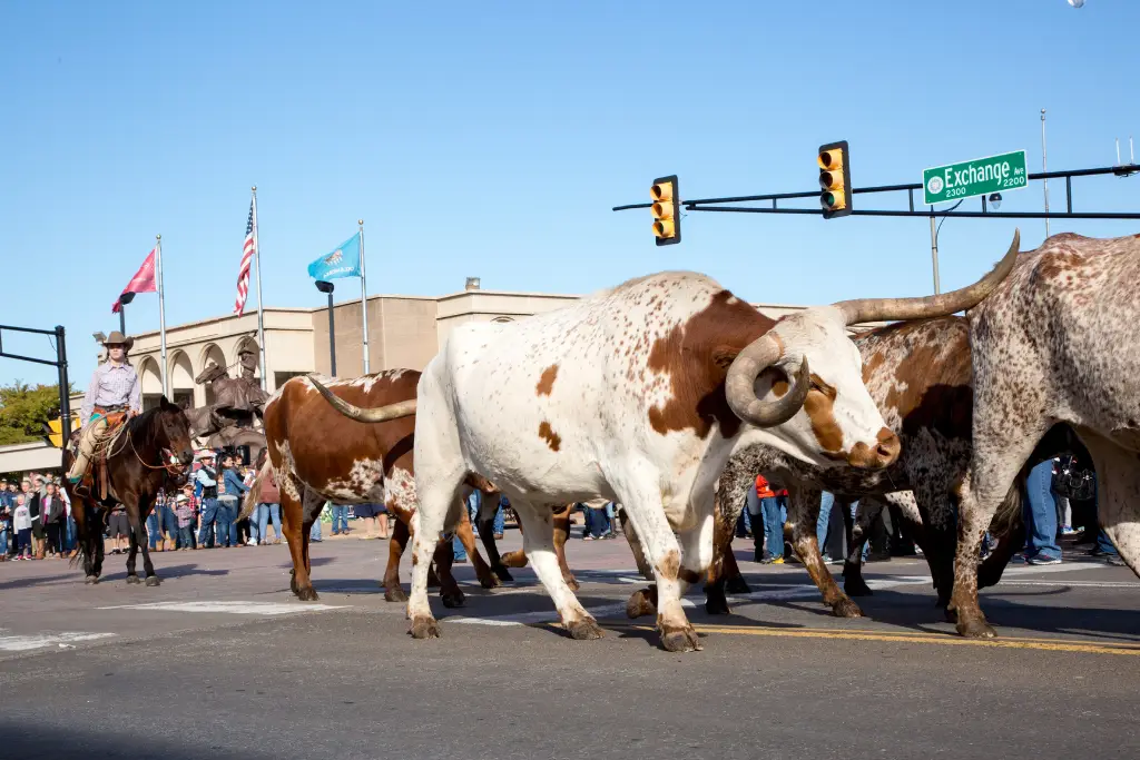 CVB Visit Oklahoma City Stockyard Stampede