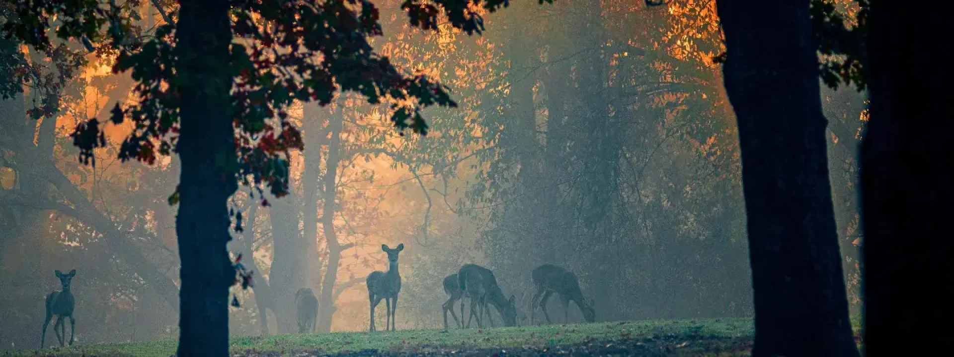 Arkansas