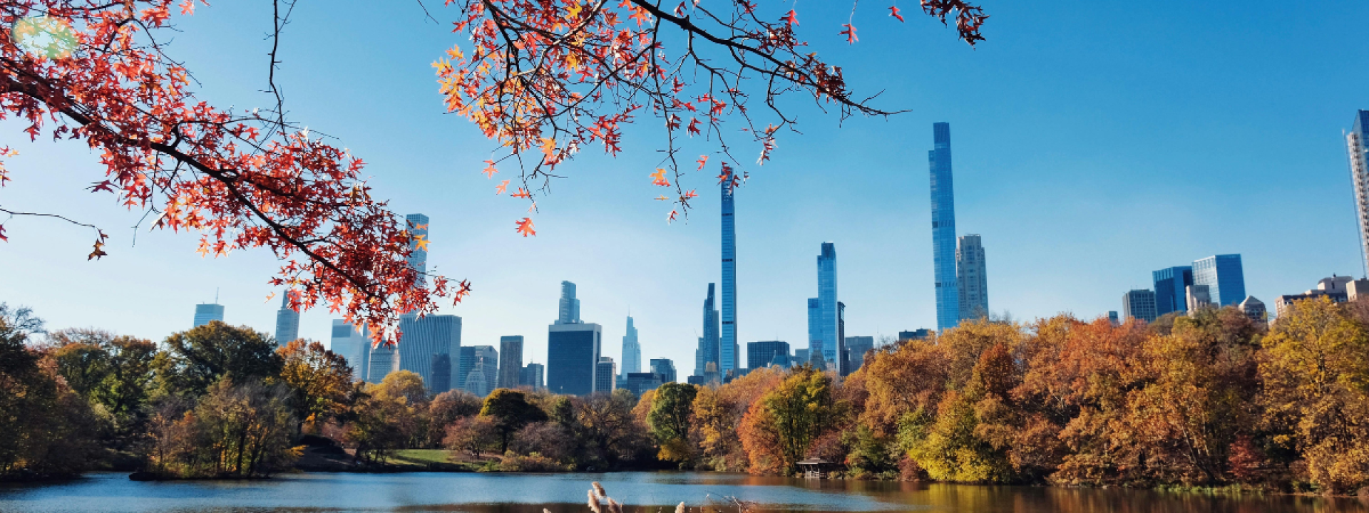 New York Central Park