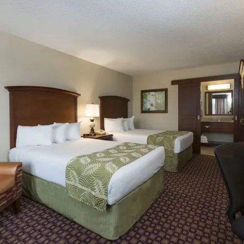 double-guestroom-opt