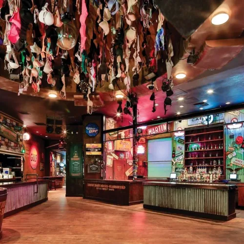 mg-lasny-coyote-ugly-26605_Wide-Hor